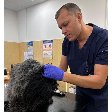 Ветеринар стоматолог Шевчук Алексей Сергеевич