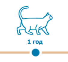 прививка кошек на дому в Москве