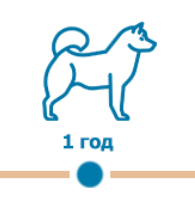 прививка собак на дому в Москве