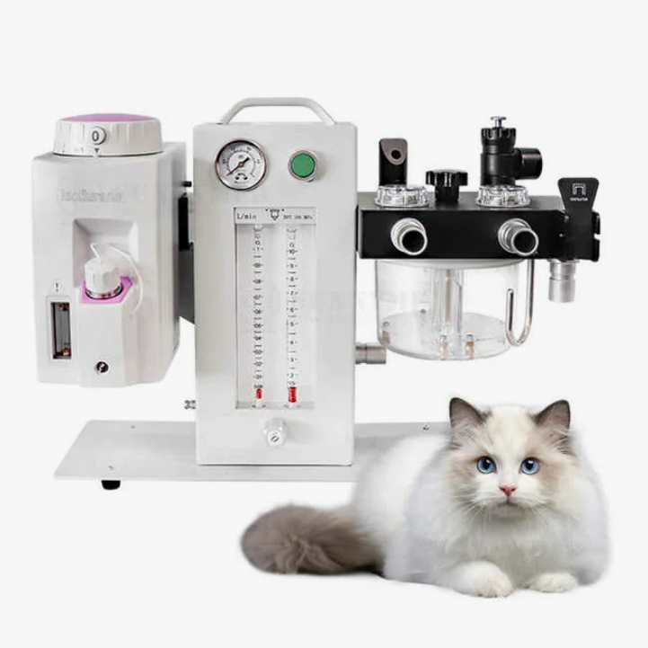 Ингаляционный наркоз в стоматологии кошек и собак