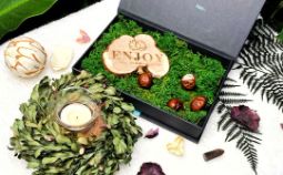 корпоративные сертификаты в спа салон