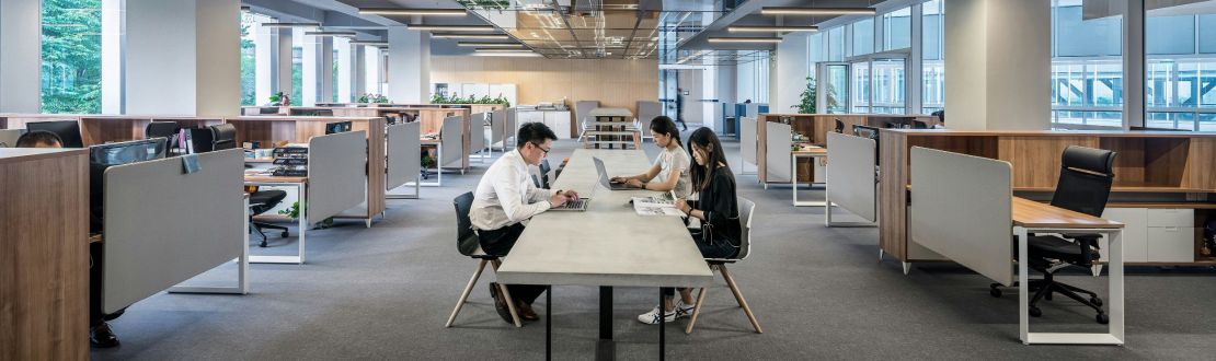 Кейс 3: Холдинговая структура с контролем расходов