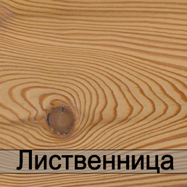 Лиственница
