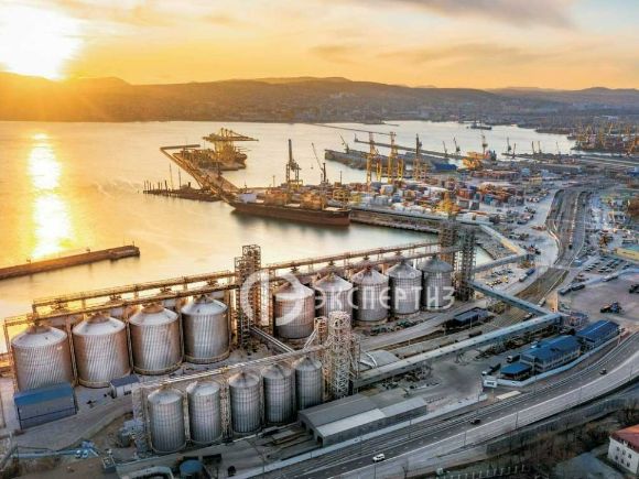 Новороссийский зерновой терминал