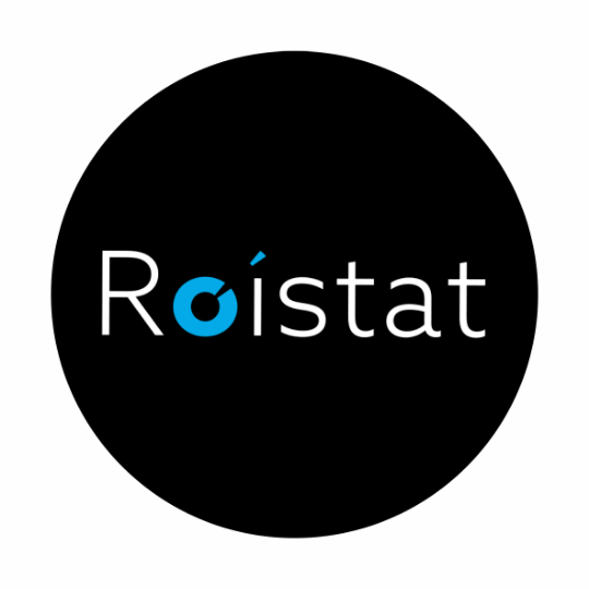 Сквозная аналитика Roistat у партнера Константин Cashflow