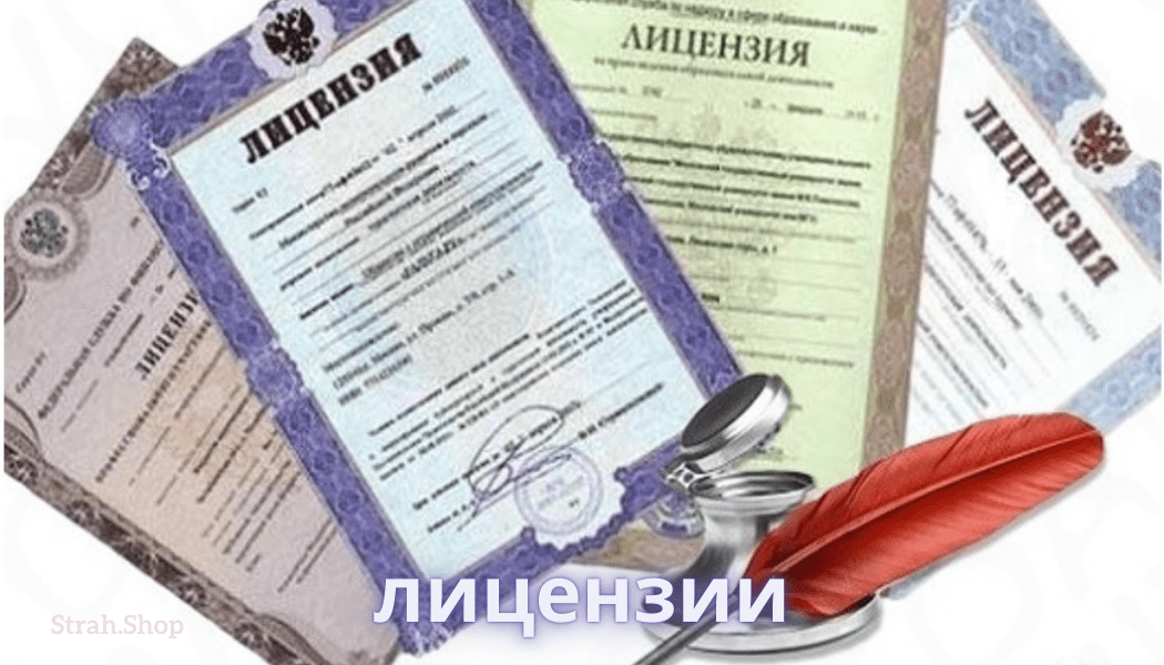 Лицензии strah.shop