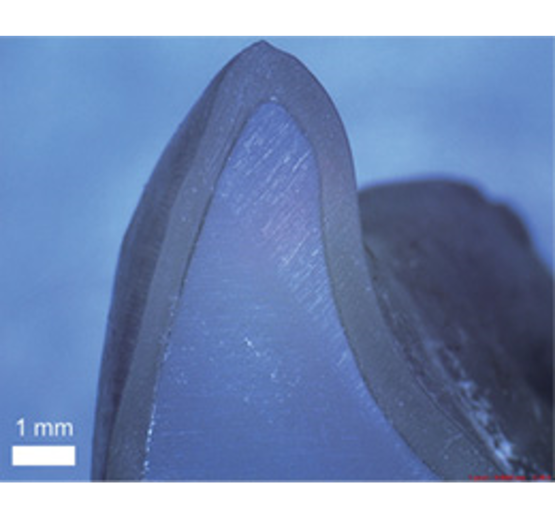 Прямая 3Д печать элайнеров Graphy direct aligners. Обзор и исследования.