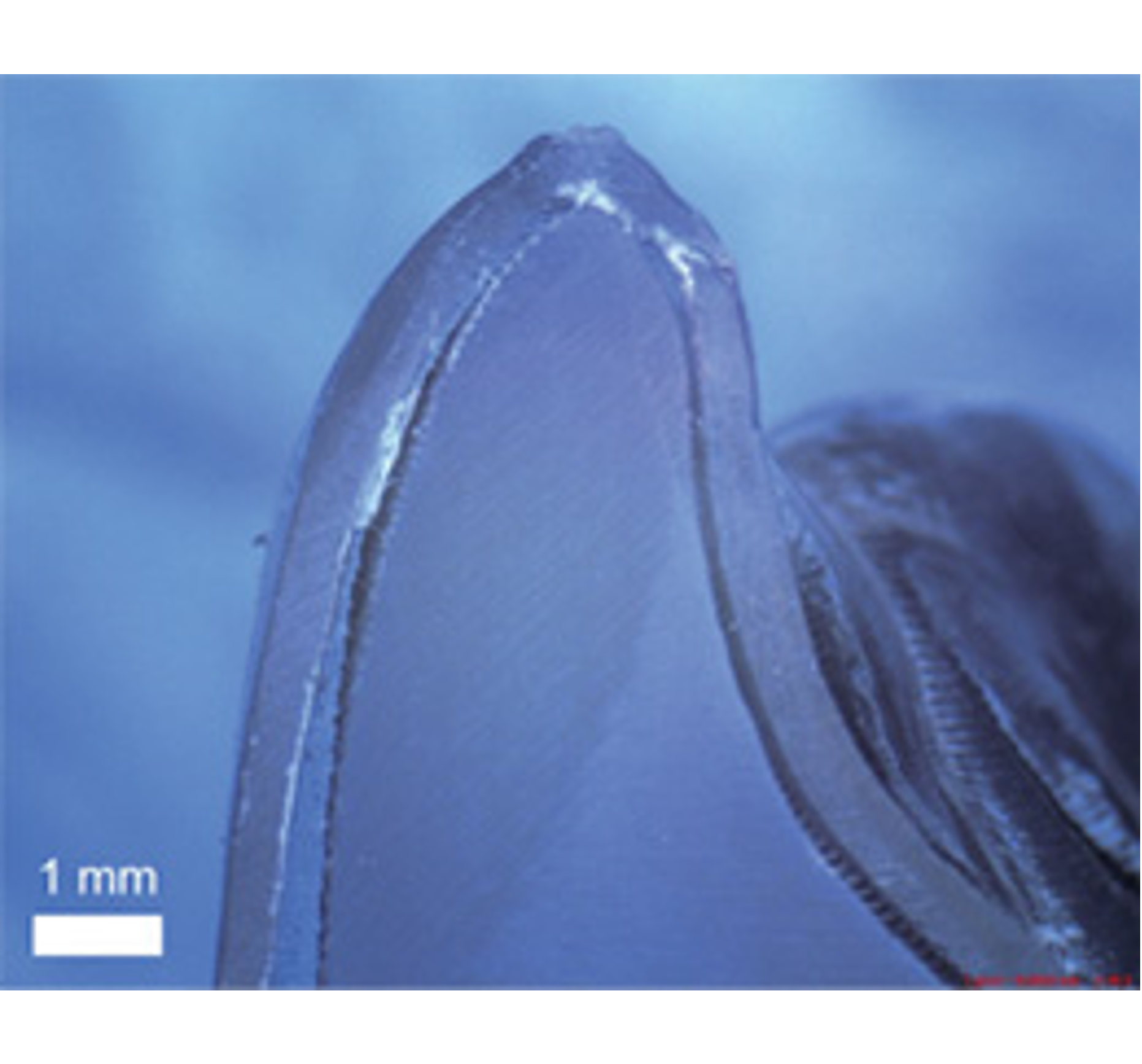 Прямая 3Д печать элайнеров Graphy direct aligners. Обзор и исследования.