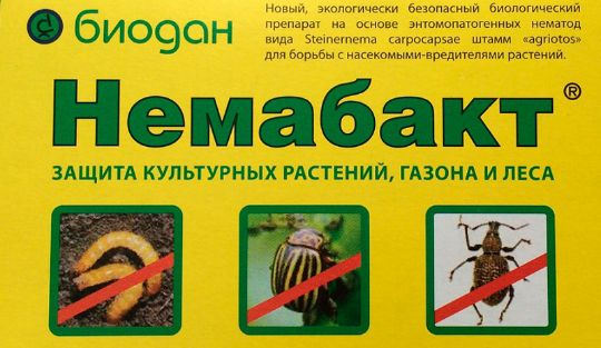 Нематоды против личинок