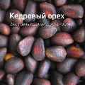 Обзор рынка кедровых орехов ссылка на отчет