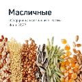 Обзор рынка маша ссылка на отчет