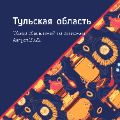 Обзор Тульской области ссылка на отчет