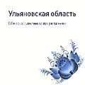 Обзор Ульяновской области ссылка на отчет