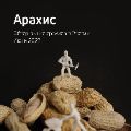 Обзор рынка арахиса ссылка на отчет