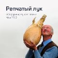 Обзор рынка репчатого лука ссылка на отчет