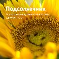 Обзор рынка подсолнечника ссылка на отчет