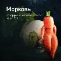 Обзор рынка моркови ссылка на отчет