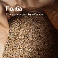 Обзор рынка полбы ссылка на отчет