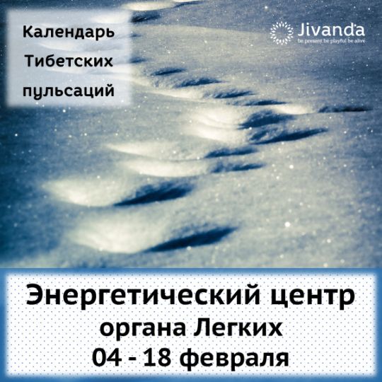 Скриншот прямого эфира