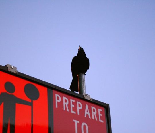 птица на дорожном знаке