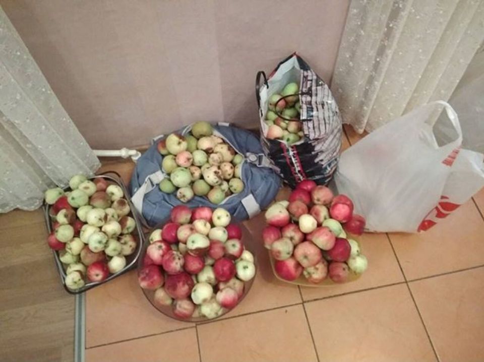 Пакеты с яблоками