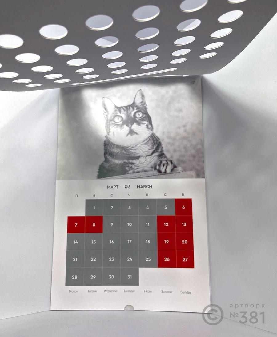 календарь кошка