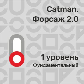 Catman. Форсаж 2.0. Уровень фундаментальный