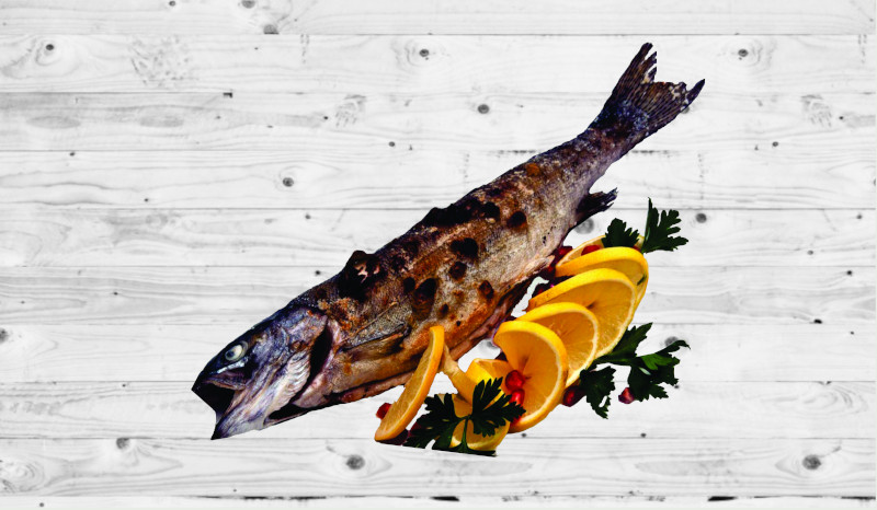 Форель радужная