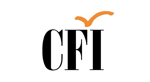 CFI производственная компания клиент смарт бизнес