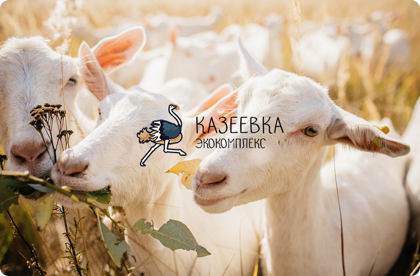 Кейс по автоматизации экокомплекса Казеевка