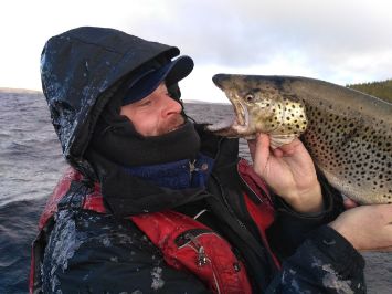 Лососевые: кумжа, палия, сиг