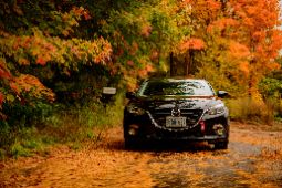 Ремонт двигателя Mazda (Мазда) в Липецке