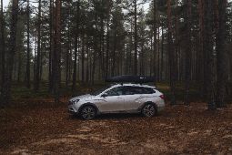 Ремонт двигателя Lada (Лада) в Липецке