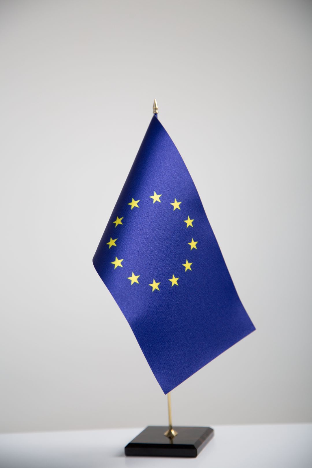 Եվրոմիության դրոշ (22/12 սմ)