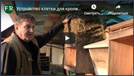 УСТРОЙСТВО КЛЕТКИ ДЛЯ КРОЛИКОВ