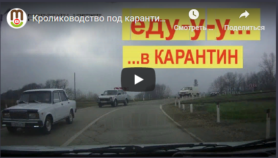 Карантин на Кубани