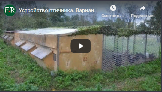Устройство птичника. Вариант для тёплого климата. ЛПХ Дядя Фёдор
