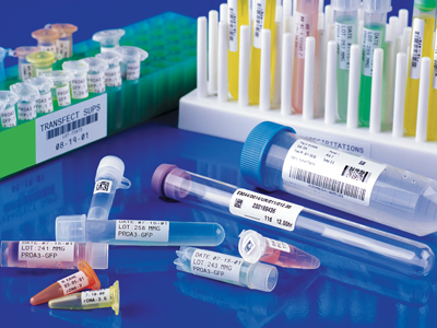 Лабораторная маркировка [Лаборатория]