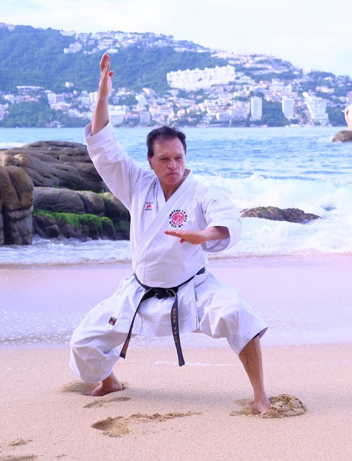 Рохелио Флорес Агулиера 9 Дан Мехико ( Мексика) сопредседатель  WKS KASE HA UNION