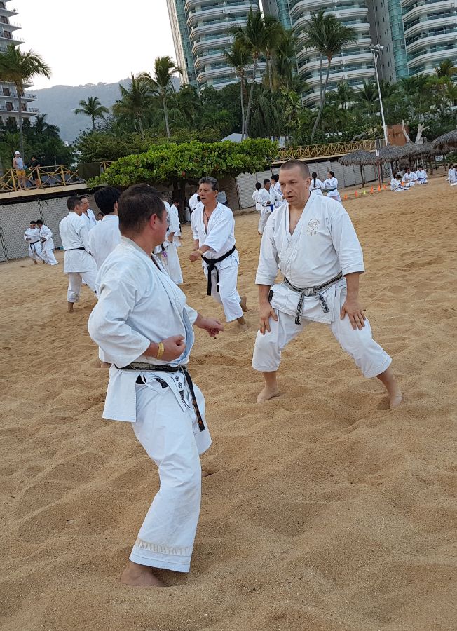 18.05.2017 - МЕКСИКА, АКАПУЛЬКО, МЕЖДУНАРОДНЫЕ СБОРЫ