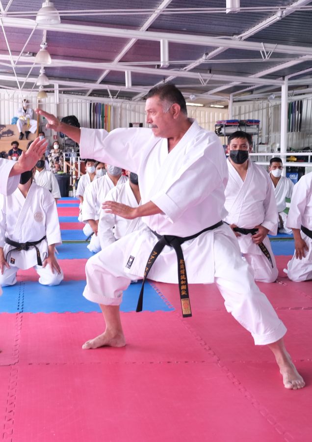 Хавьер Франциско Ферретис 6 Дан Толука ( Мексика) секретарь WKS KASE HA UNION