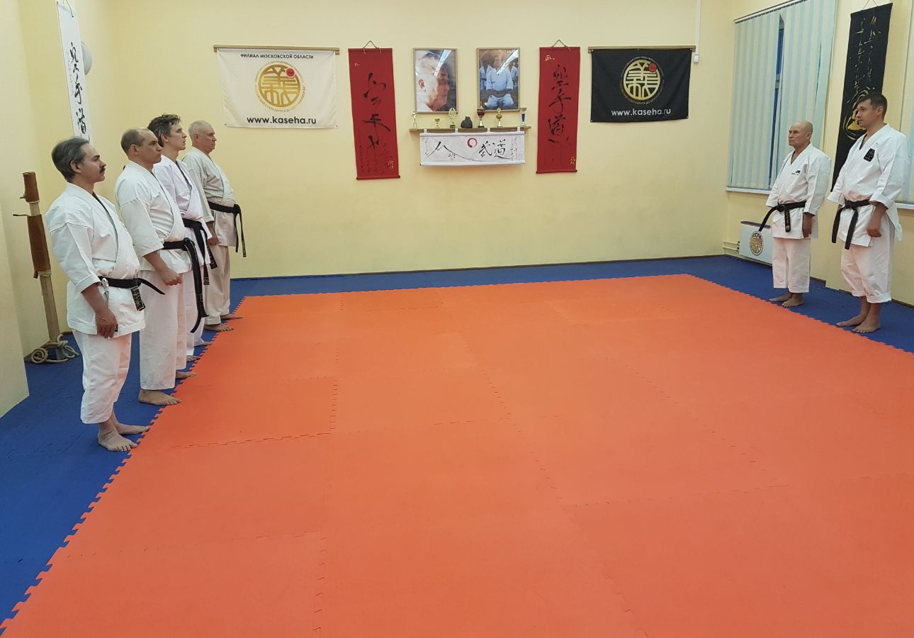 01.04..2017 - БАЛАШИХА, МОСКОВСКАЯ ОБЛАСТЬ , ВСЕРОССИЙСКИЙ ДАН ТЕСТ