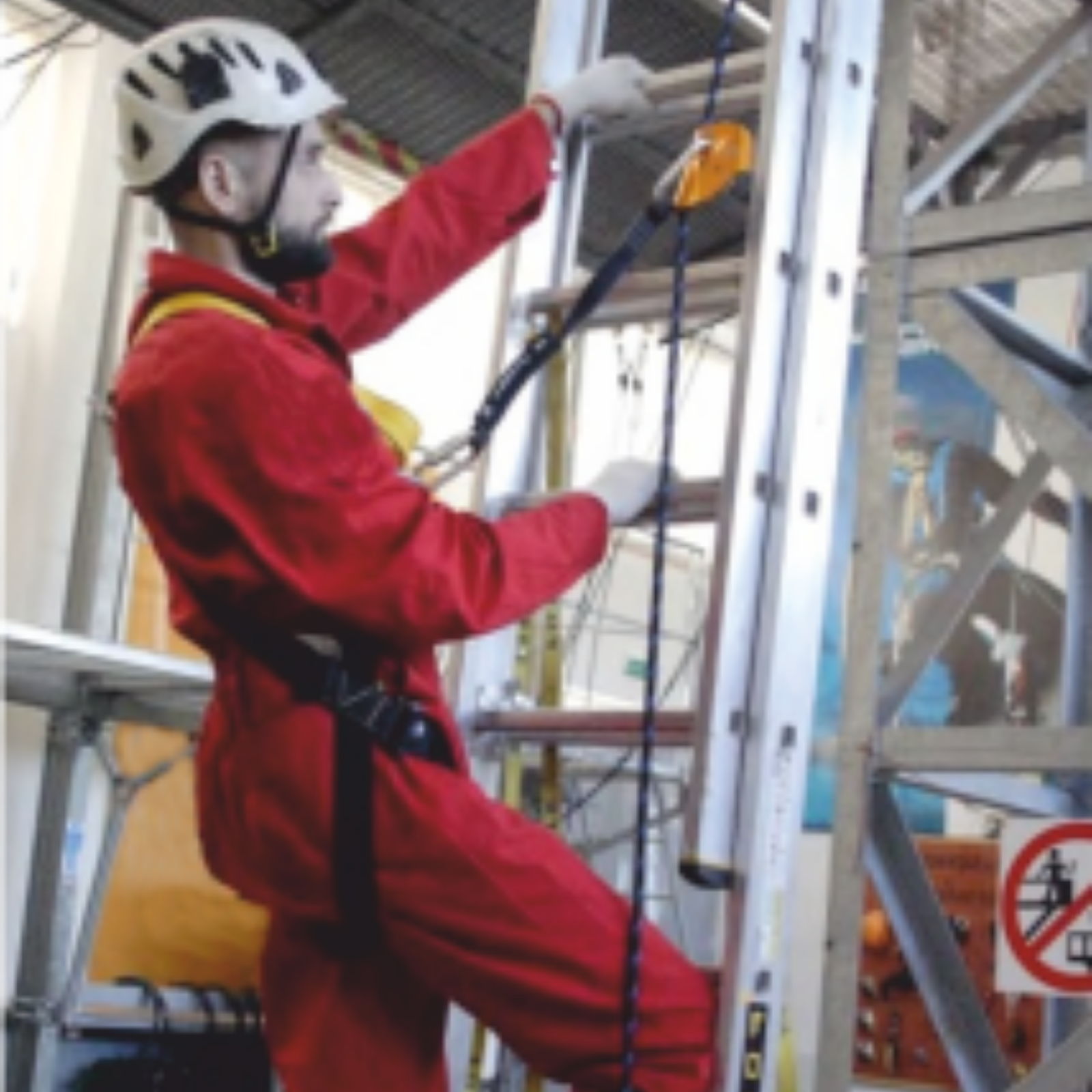 РАБОТЫ С ПРИСТАВНЫМИ ЛЕСТНИЦАМИ