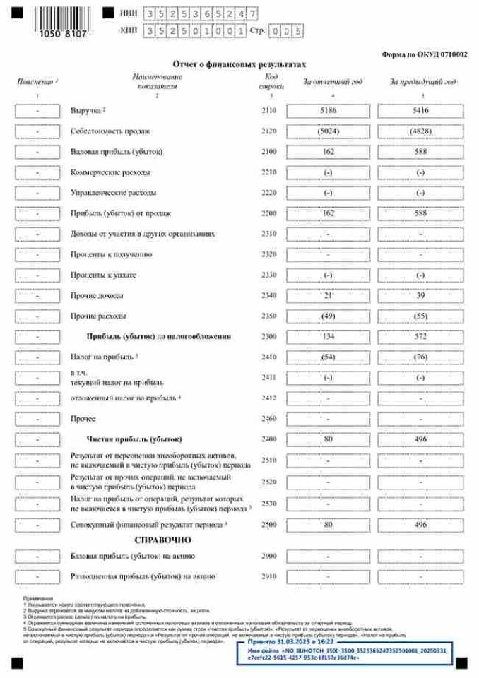 отчёт-за-2024-год