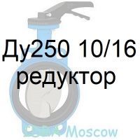 затвор поворотный Ду250 Ру10/16