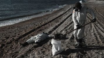 фотоматериал - t.me/ecozhora