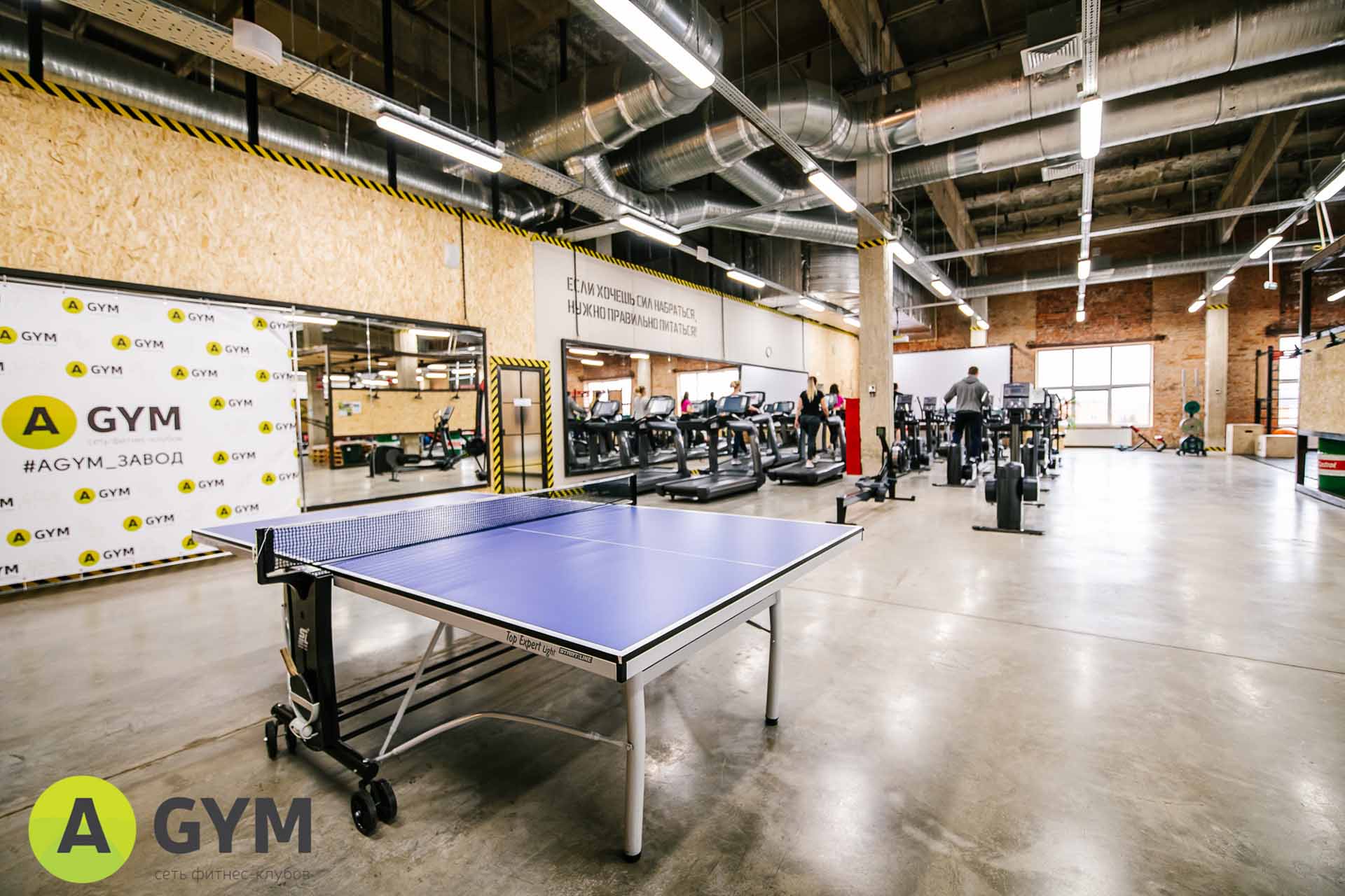 Теннисный стол