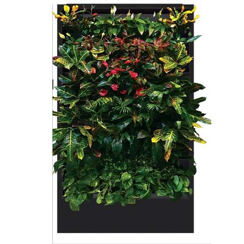 Фитомодуль Green Level с растениями по низким ценам