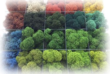 Стабилизированный мох в Челябинске от студии фитодизайна "Green Level"