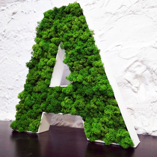 Буквы из растений Green Level